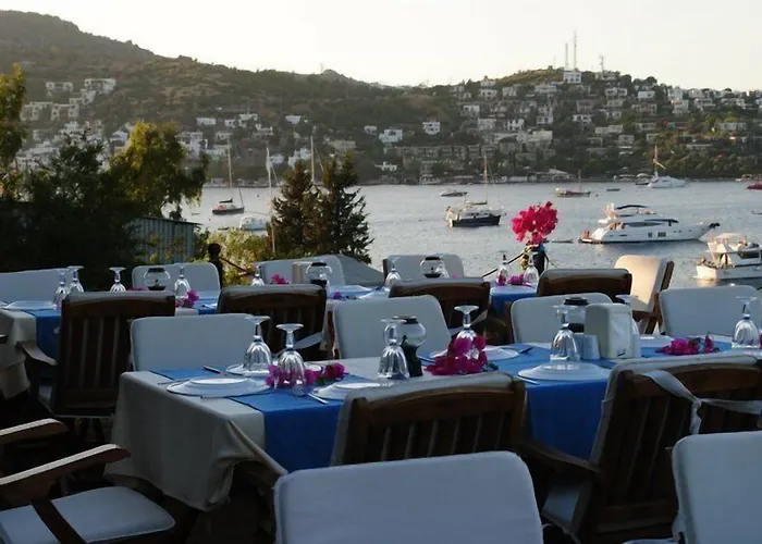 호텔 Beste Hotel 골터크부쿠